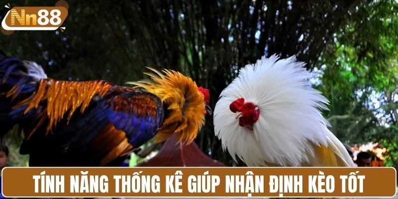 Tính năng thống kê giúp người chơi nhận định kèo tốt 